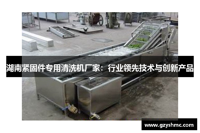 湖南紧固件专用清洗机厂家：行业领先技术与创新产品
